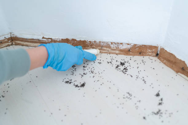 Real Estate Pest Inspections in Lemont Furnace, PA